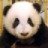 kIsStHepAnDa