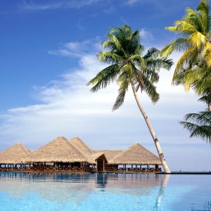 Nature Pic  925