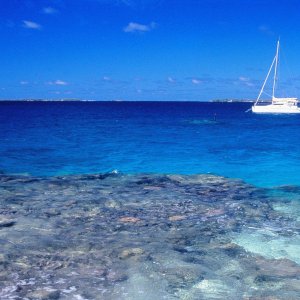 Nature Pic  884