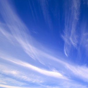 Nature Pic  935