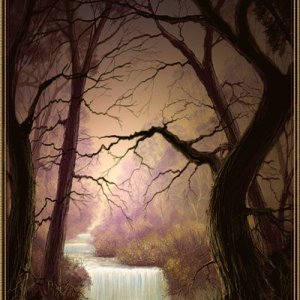 Nature Pic  969