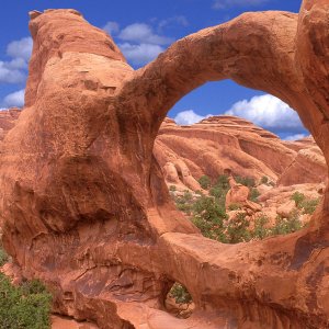 Nature Pic  789