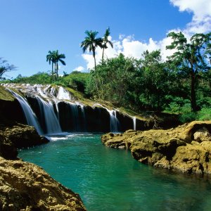 Nature Pic  917