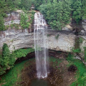 Nature Pic  959