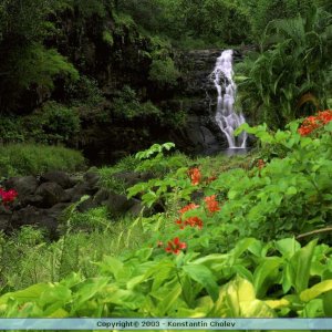 Nature Pic  823