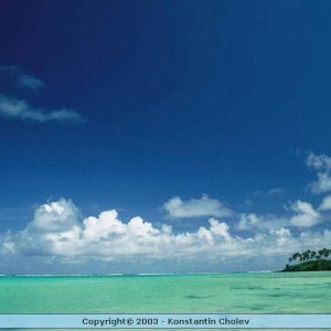 Nature Pic  863