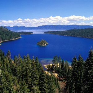 Nature Pic  919