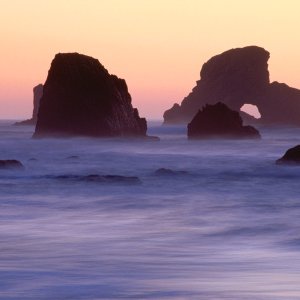 Nature Pic  937