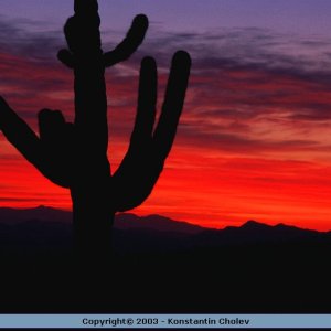 Nature Pic  850