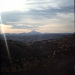 Nature Pic  752