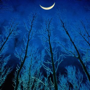Nature Pic  893