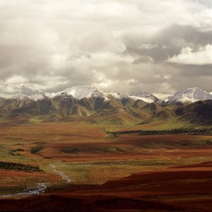 Nature Pic  963