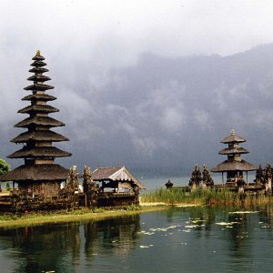 Nature Pic  806