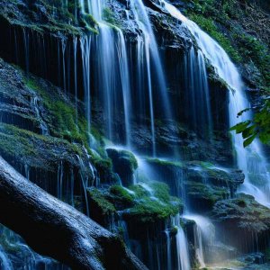 Nature Pic  968