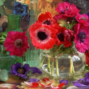 Nature Pic  901