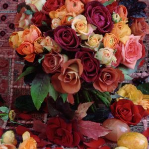Nature Pic  908