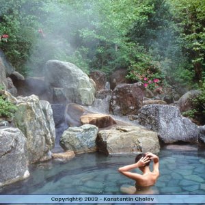 Nature Pic  978