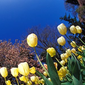 Nature Pic  970