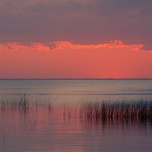 Nature Pic  816