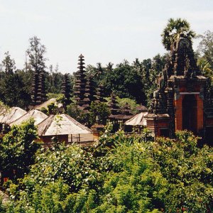 Nature Pic  809