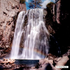 Nature Pic  766