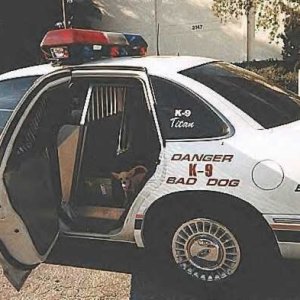 Cops K9