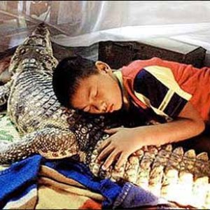 Live Pillow