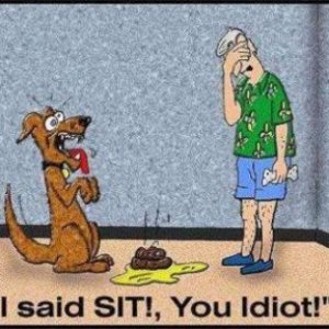 I Said Sit