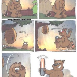 New Dildo Idea
