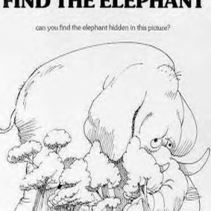 Find The Elephant