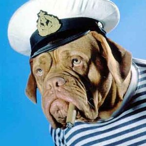 Old Seaman