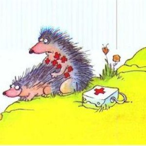 Love Hurts