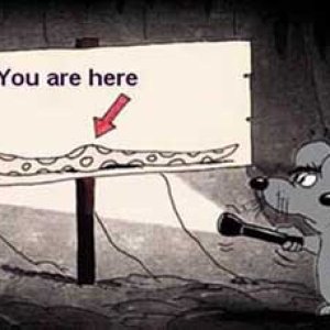 You Are Hear