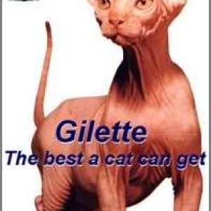 Gilette For Cats