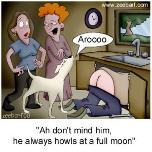 Full Moon