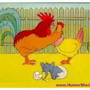 Proof Of Infidelity