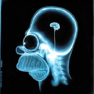Homer Scan