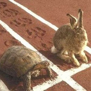 Lets Race
