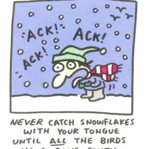 Catch Snowflakes