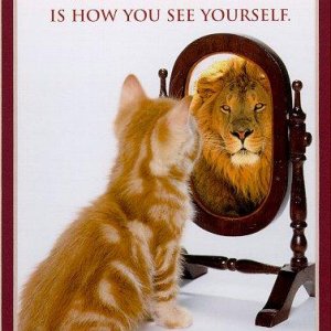 How You See Your Self