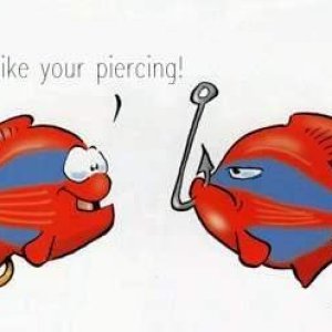 Fish Likes Piercing
