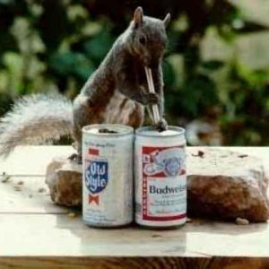 Bud