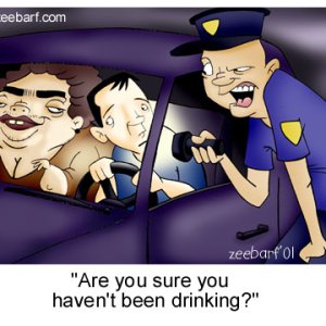 Are You Sure You Havent Been Drinking