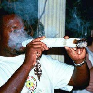 Biggest Joint