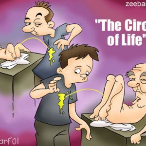Circle Of Life