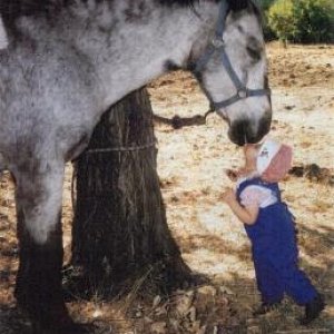 Kisses Horsy
