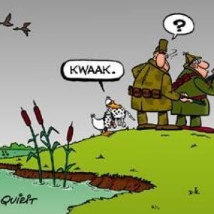 Kwaak