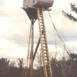 Tree House
