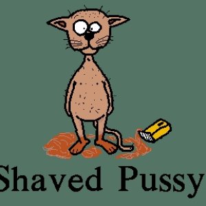 Shaved Pussy