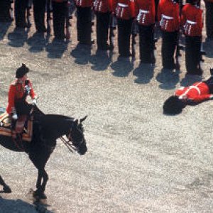 Media 'Royal Parade' in category 'Funny Pictures'